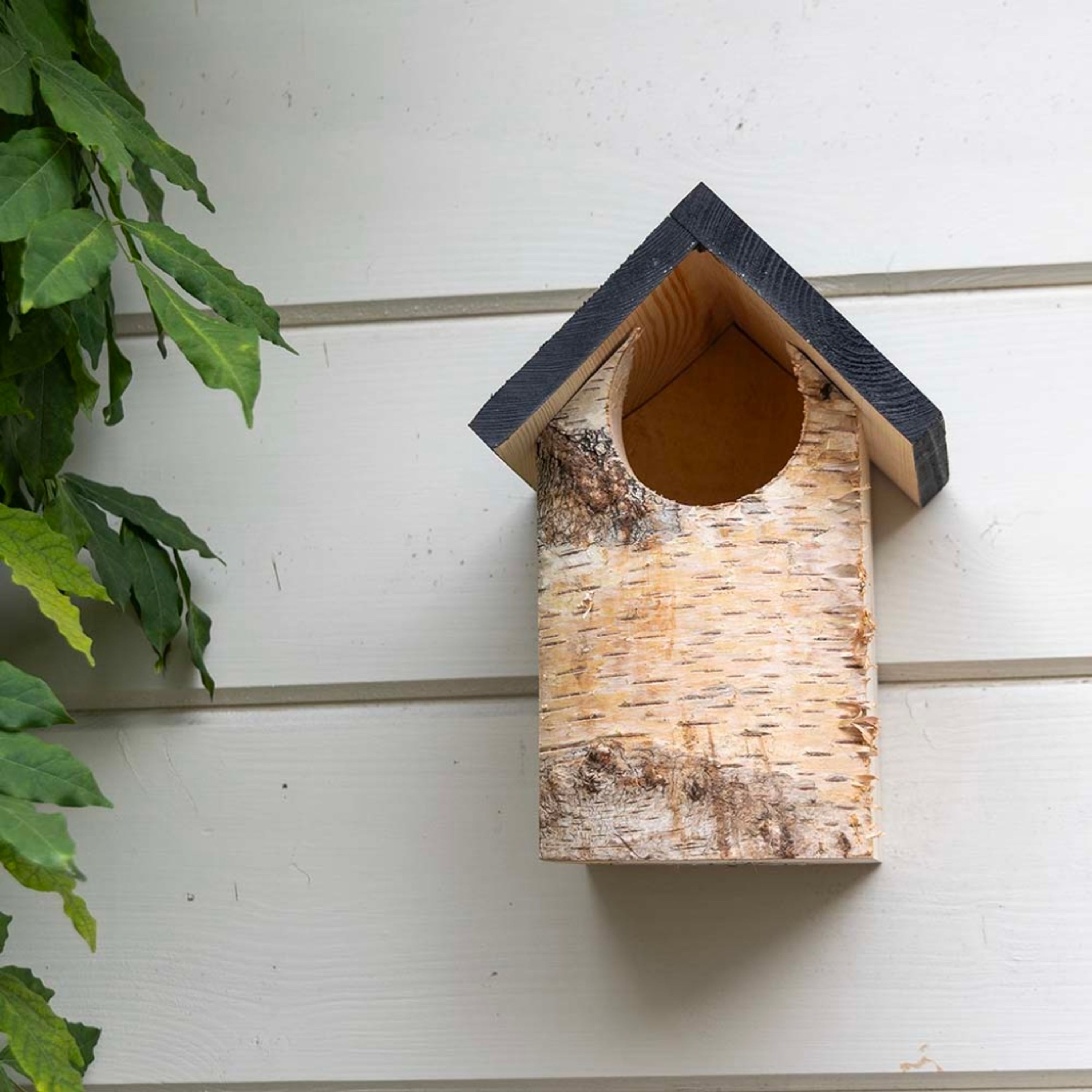 Birken-Nistkasten „Kingston“ halboffen | Vogelhaus Birkenholz | CJ Wildlife